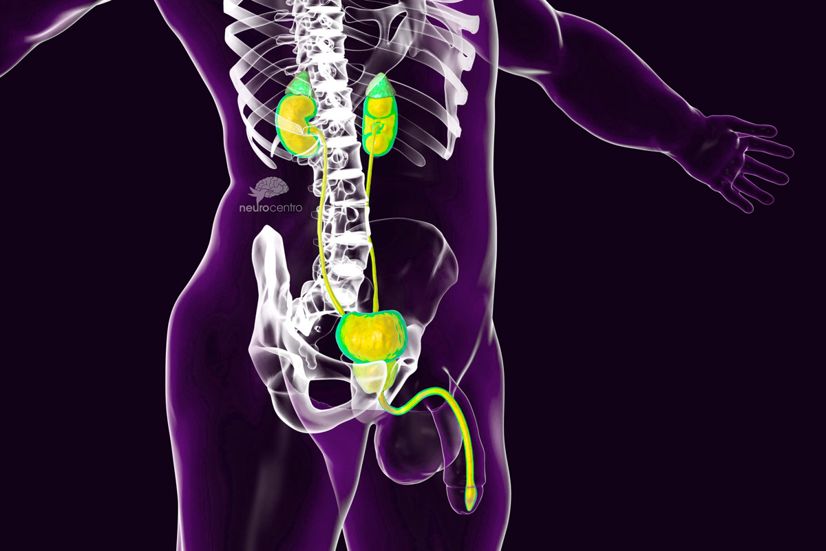 Urología Neurocentro 